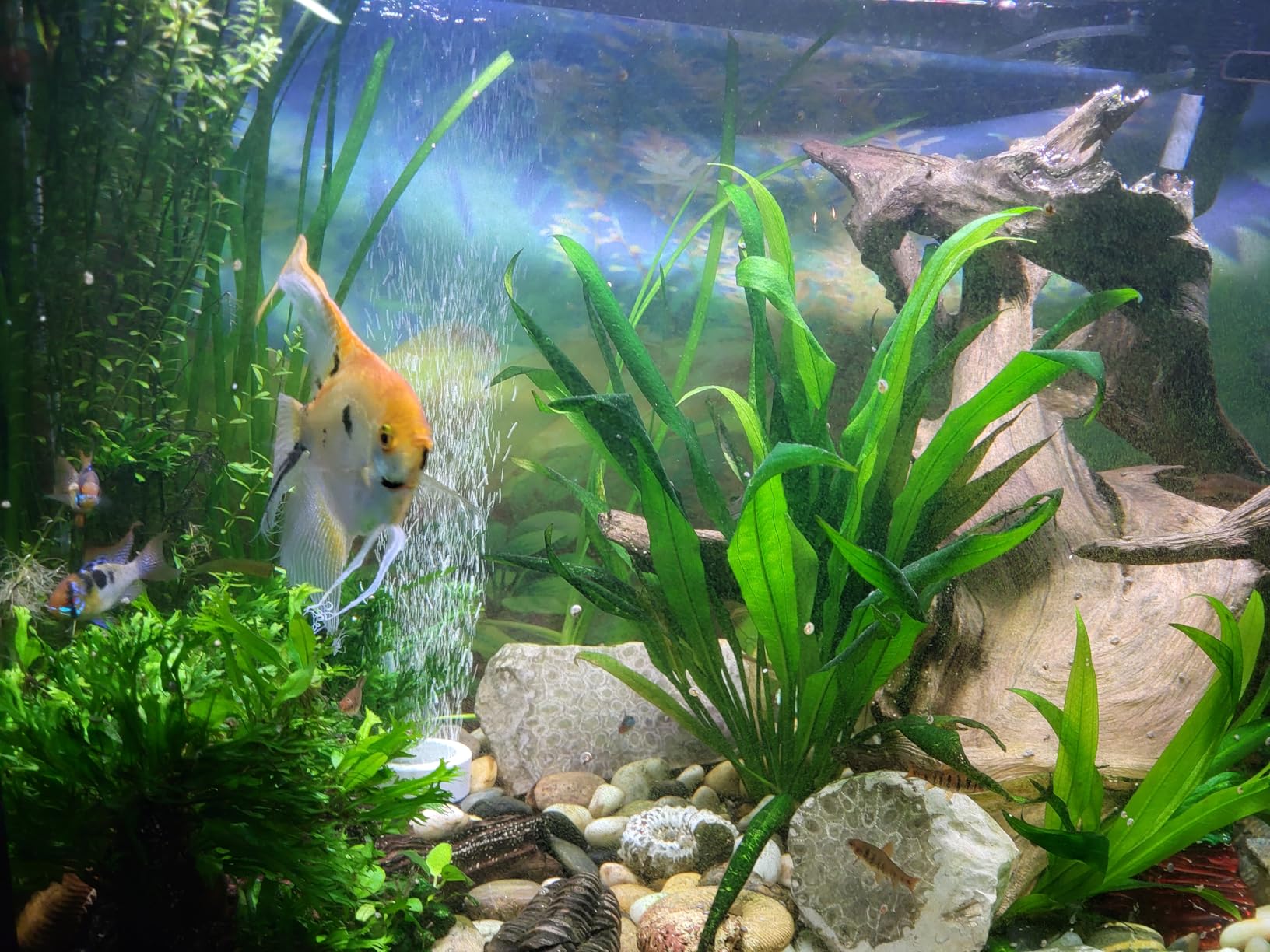 Fluval 107 Performance Canister Filter - for Aquariums Up to 30 Gallons customer photo 1