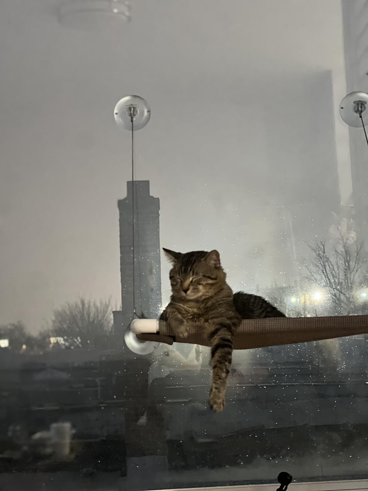 Cat Window Hammock - Mess-Free Waterproof Cats Window Perch for Large Cats, Strong Suction Cup Hammock with Flannel Cover, Indoor Cat Seat, Beige customer photo 1
