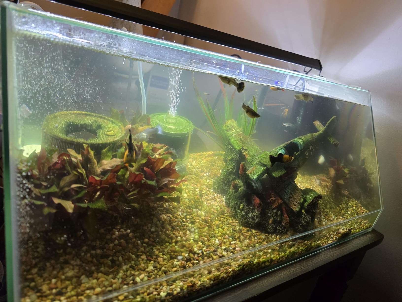 Seachem Tidal Power Aquarium Filter - 35 Gallon Large Fish Tank Filter,black customer photo 2