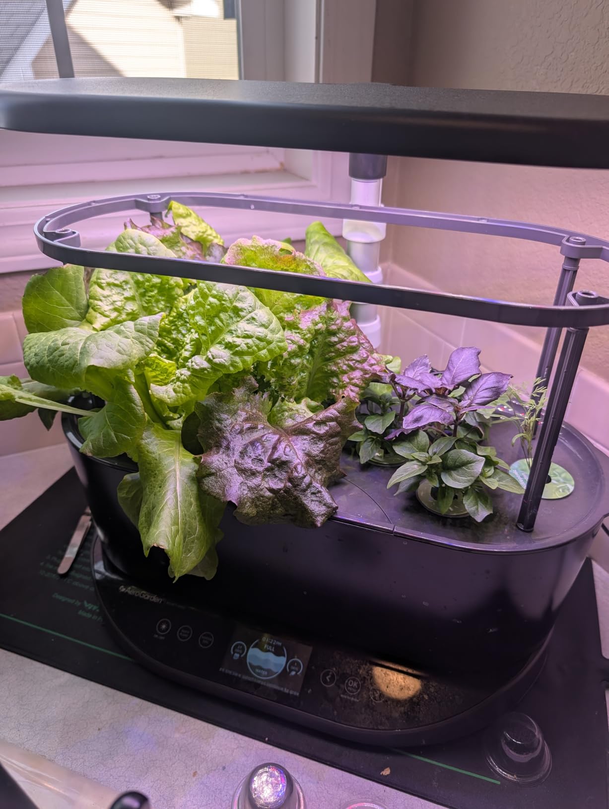 Bounty Basic - Indoor Garden with LED Grow Light, Black customer photo 2
