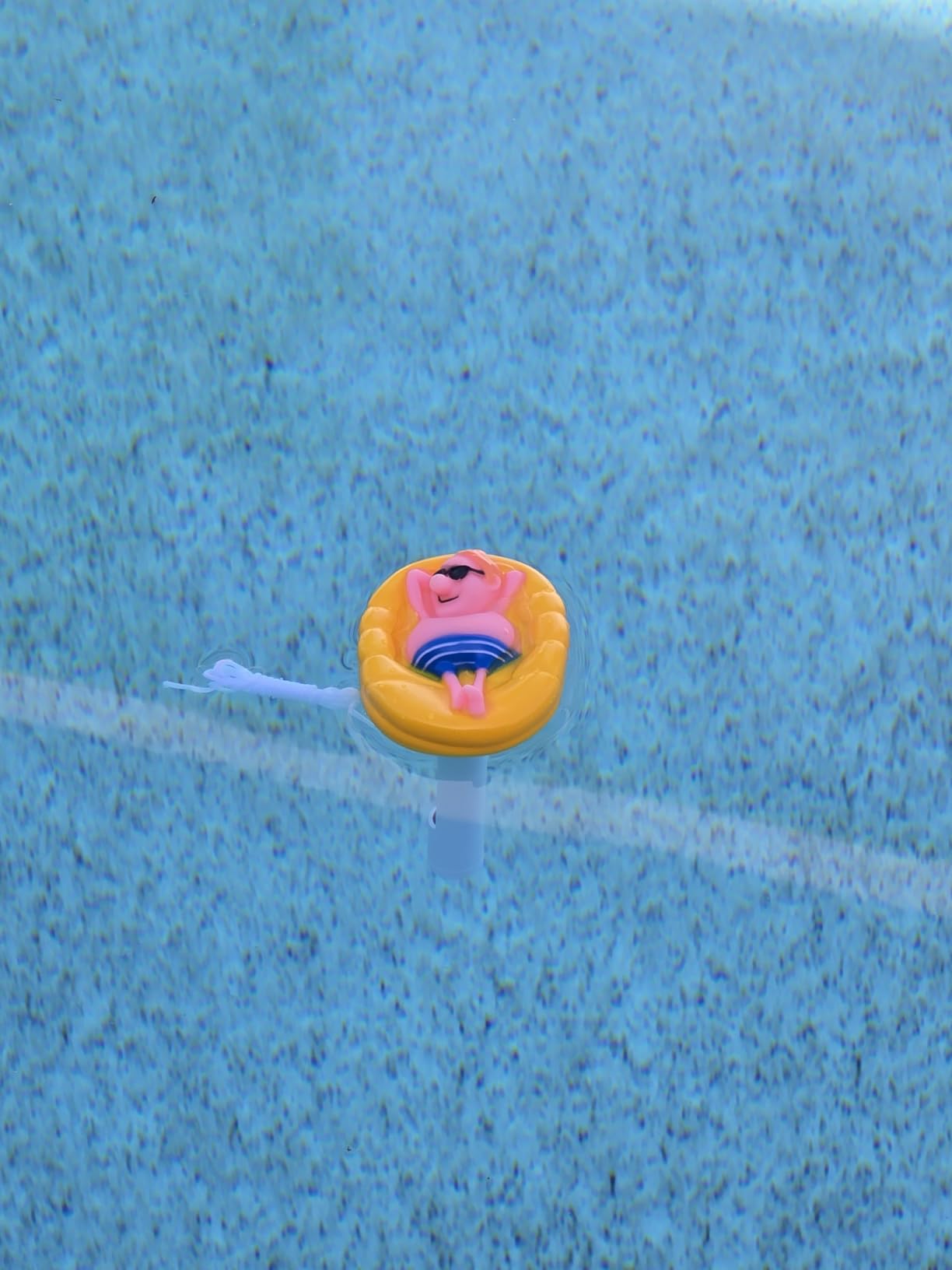 Pool Thermometer Large Floating Water Temperature Thermometers with String, Water Thermometer Aquarium,for Outdoor & Indoor Swimming Pools, Spas, Hot Tubs, Aquariums & Fish Ponds customer photo 2