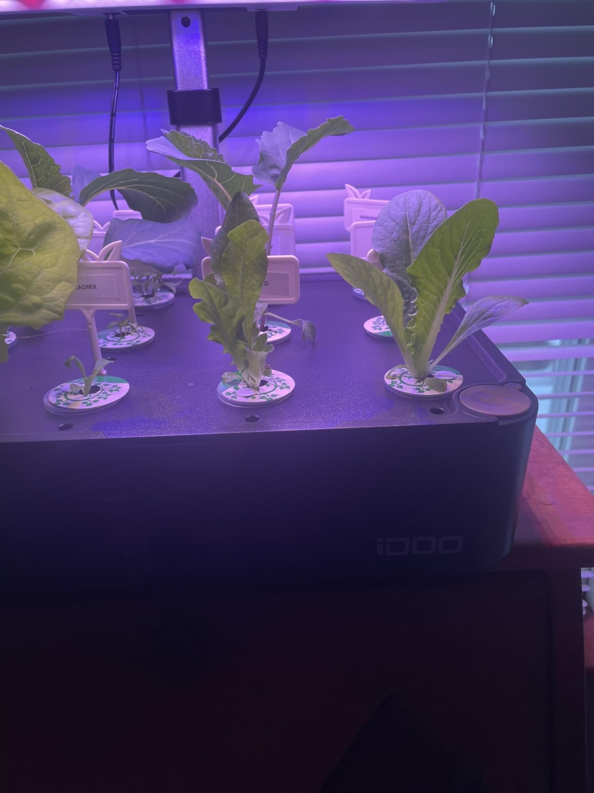 iDOO Mothers Day Gifts, Hydroponics Growing System Kit 12Pods, Indoor Herb Garden, with LED Grow Light, Built-in Fan, Auto-Timer, Adjustable Height Up to 11.3