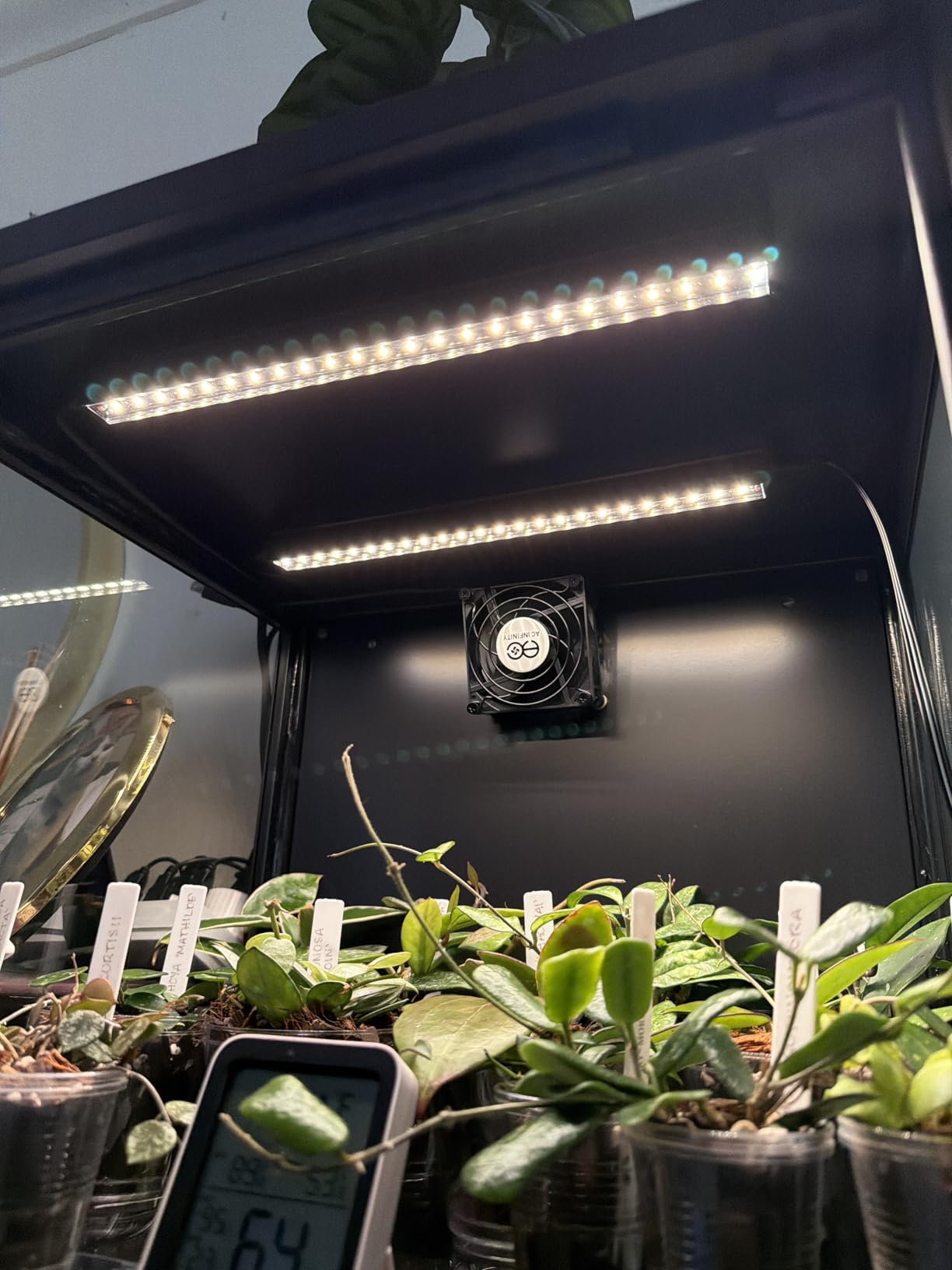 Barrina Grow Lights for Indoor Plants, Full Spectrum Sunlight, 1FT White Cover Plant Growing Lamp, LED Grow Light Bulbs, T5 Grow Light Strip, Plug and Play, Yellow, 4-Pack customer photo 1