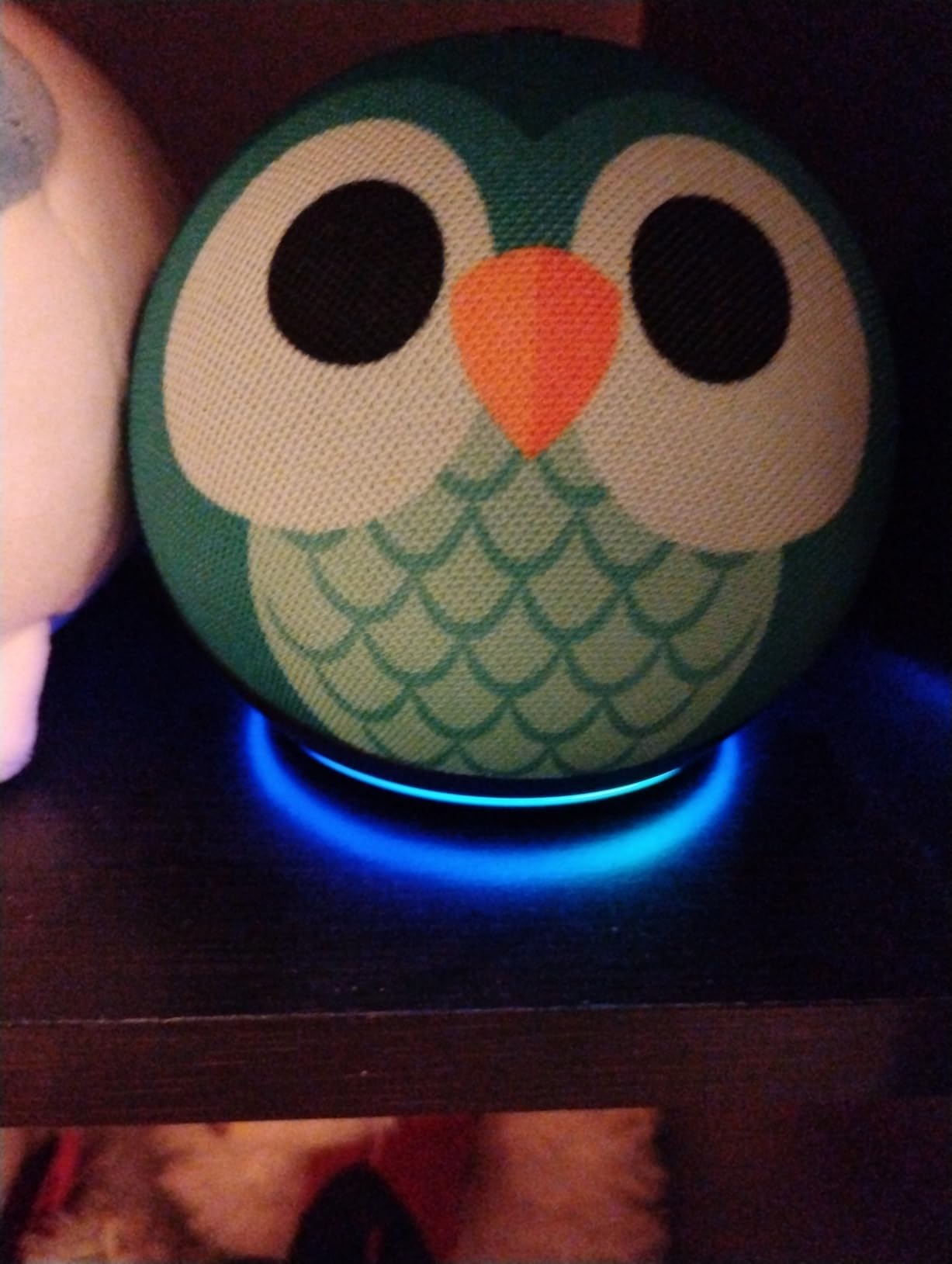 Echo Dot Kids (newest model), Smart speaker to enjoy age-appropriate audiobooks, interactive games and Alexa+ experiences to create and learn, Owl design customer photo 2