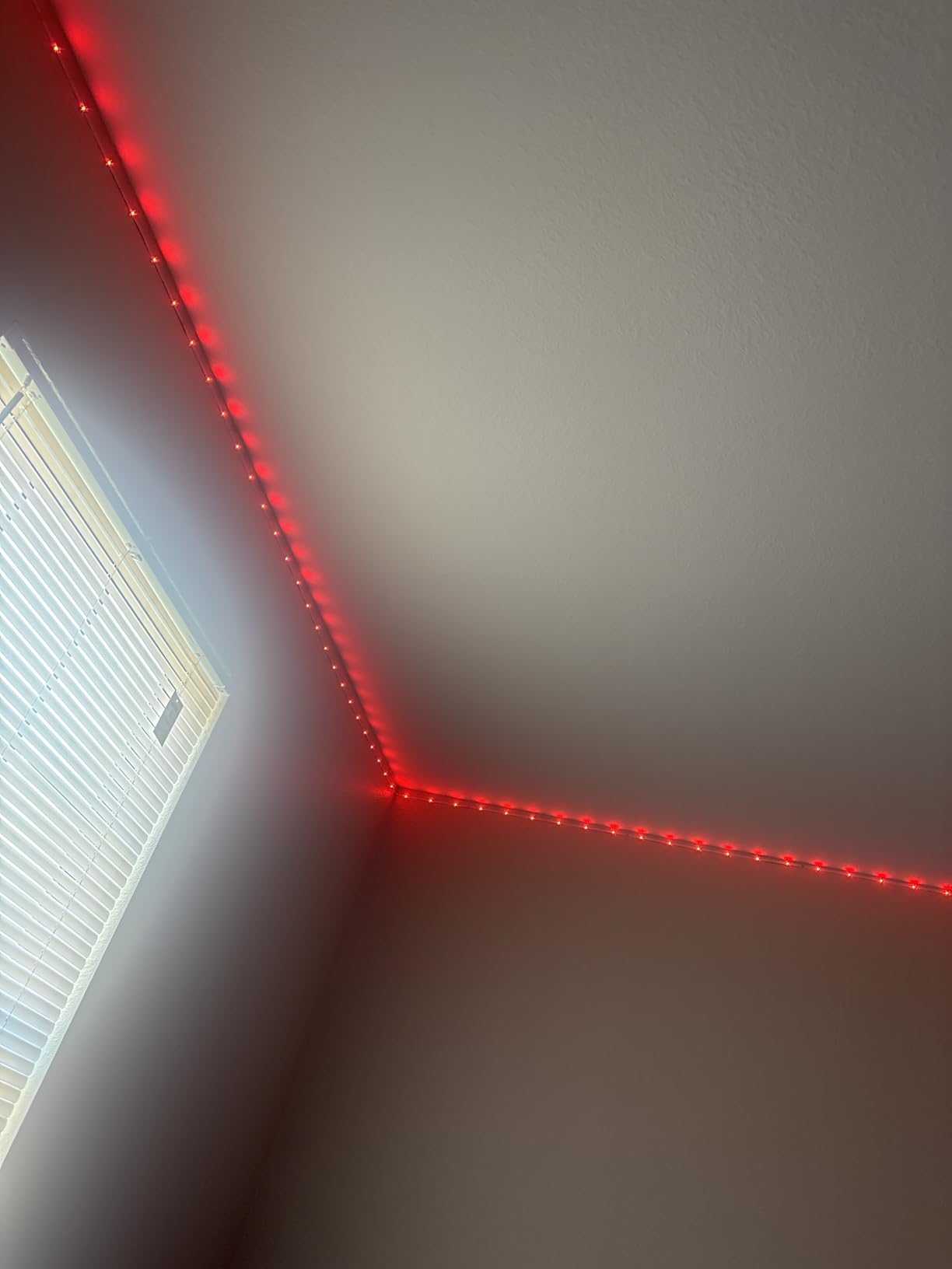 KSIPZE 100ft Led Strip Lights RGB Music Sync Color Changing Led Lights with Smart App Control Remote Led Lights for Bedroom Room Lighting Flexible Home Décor customer photo 2