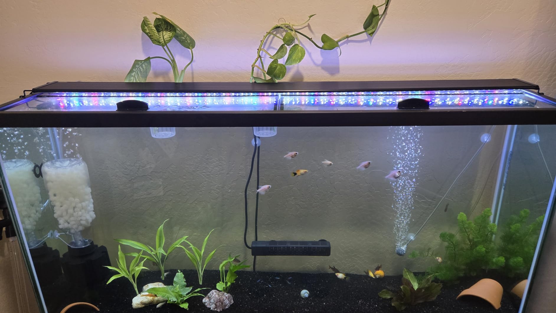 SEAOURA 24/7 Mode Led Aquarium Light for Plants Growth-Full Spectrum Fish Tank Light with Timer, Auto On/Off, 7 Colors, Adjustable Brightness, for 12 to 18 Inch Freshwater Tank customer photo 1