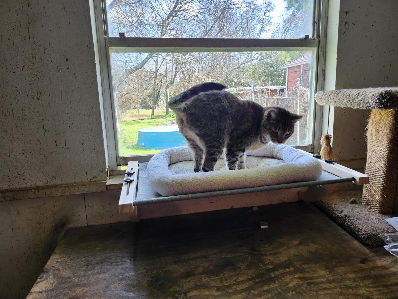 AMOSIJOY Cat Sill Window Perch Sturdy Cat Hammock Window Seat with Wood & Metal Frame for Large Cats, Easy to Adjust Cat Bed for Windowsill, Bedside, Drawer and Cabinet customer photo 1