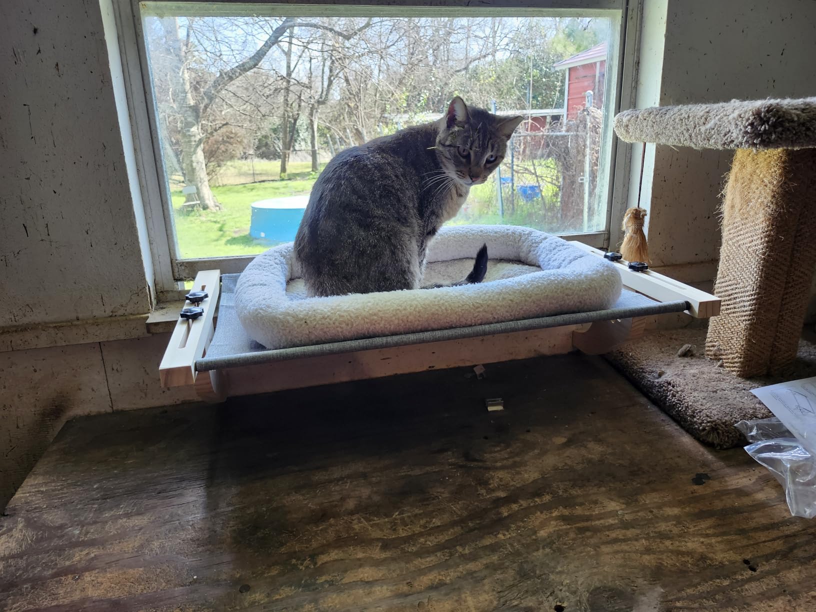 AMOSIJOY Cat Sill Window Perch Sturdy Cat Hammock Window Seat with Wood & Metal Frame for Large Cats, Easy to Adjust Cat Bed for Windowsill, Bedside, Drawer and Cabinet customer photo 2