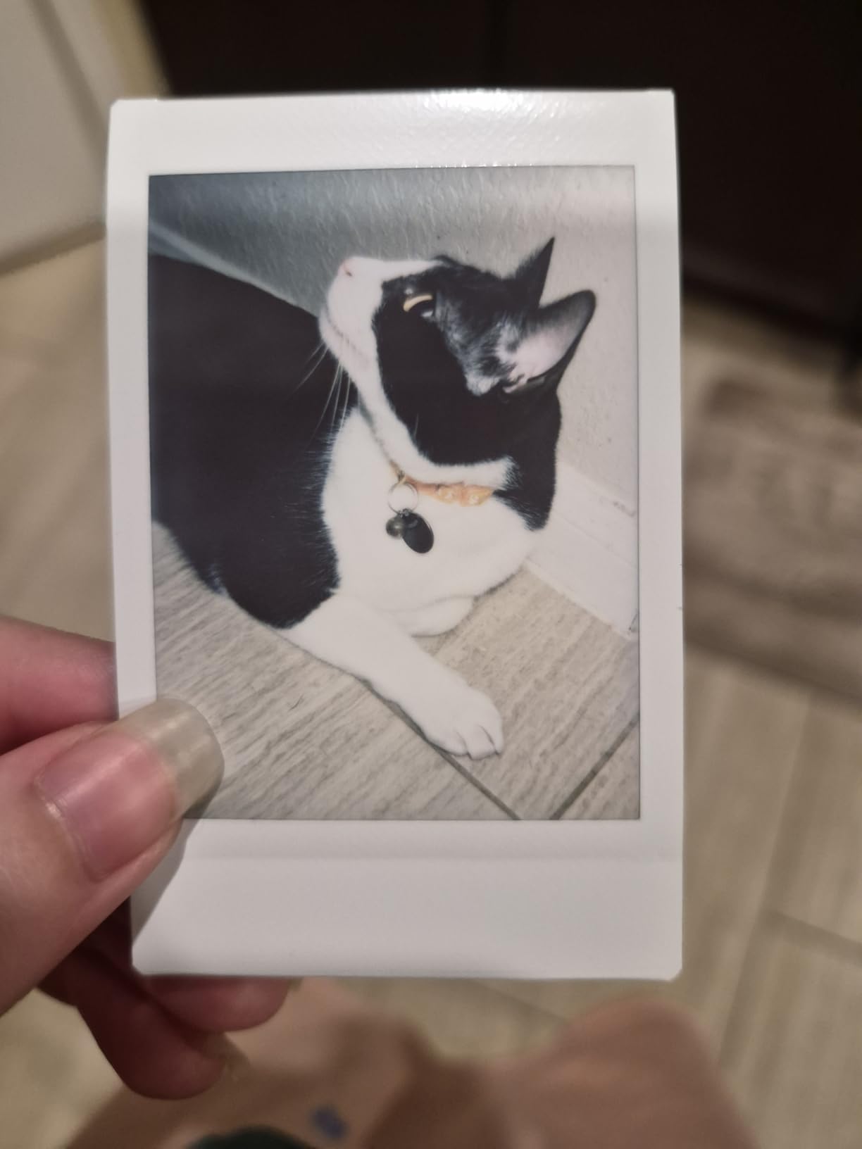 Instax Mini 12 Instant Camera - Blossom Pink customer photo 2