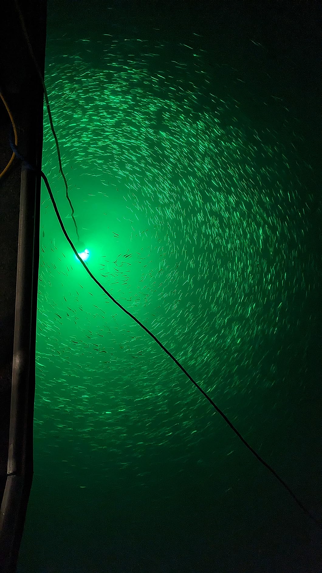 Underwater Fishing Light with Controller (Dimmer & Timer), 110V & 12V Super Bright Green LED Submersible Light Attractants customer photo 1