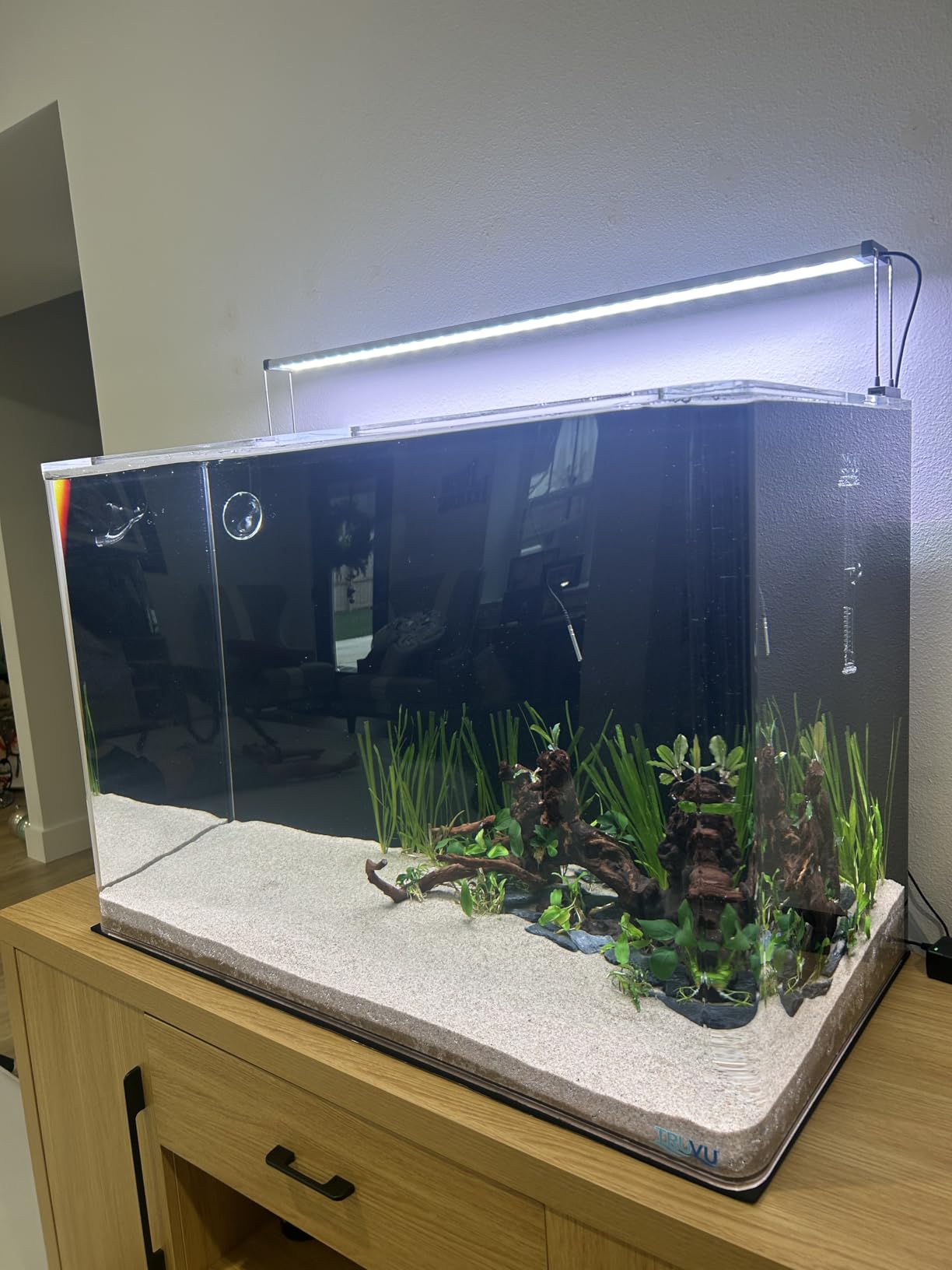 Chihiros B Series - Full Spectrum Dimmable Freshwater Aquarium LED Light, App Controlled for Planted Tank Aquascaping - Fits 60-80CM - B60 customer photo 1