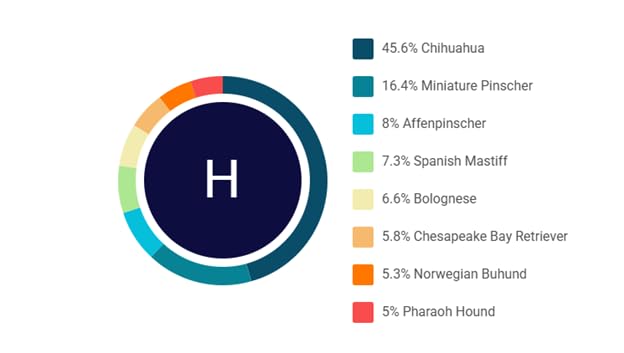 DNA Test for Dogs Starter - (Breeds and Traits Reports) - Updates at no cost customer photo 2