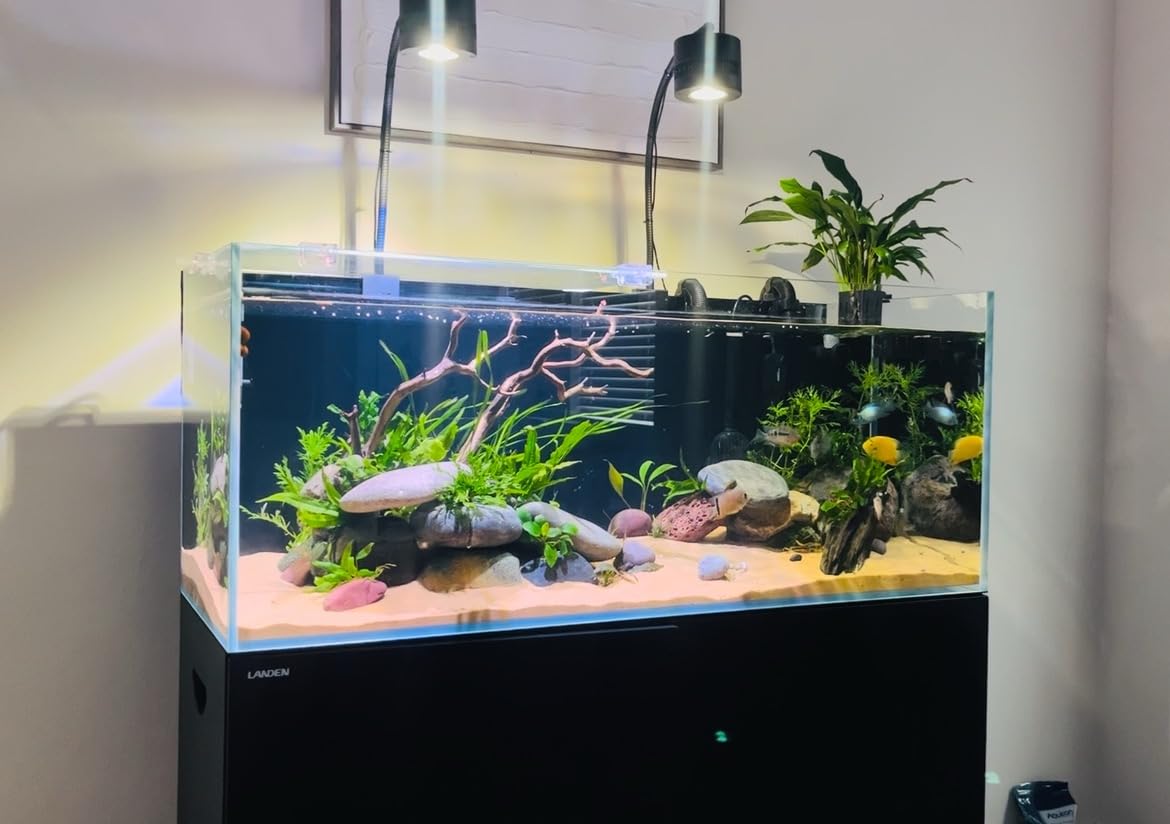 FZONE Aquarium ATO with Controller, QST2.0 Auto Top Off System for Saltwater Aquarium & Freshwater Aquarium customer photo 1
