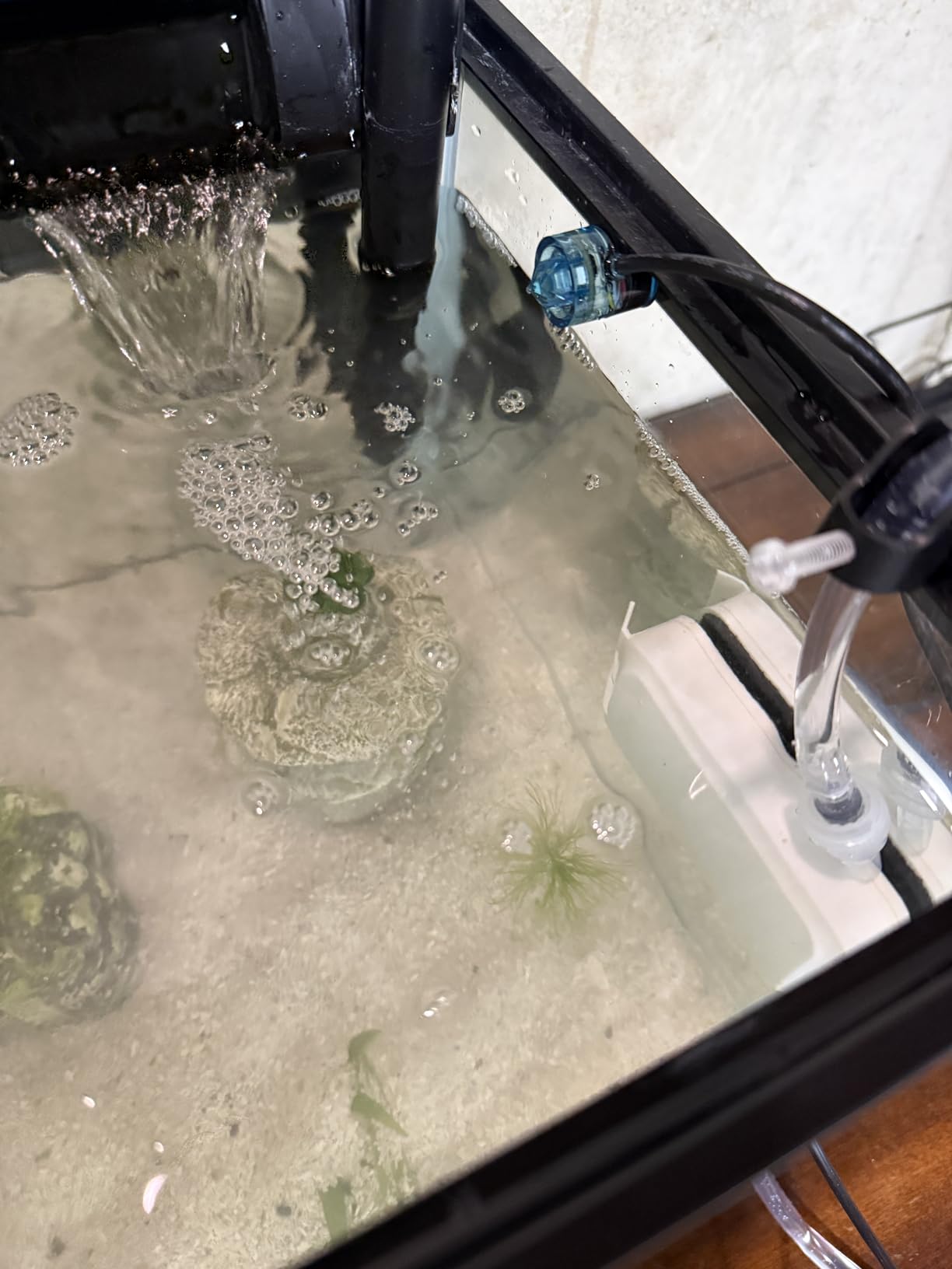 FZONE Aquarium ATO with Controller, QST2.0 Auto Top Off System for Saltwater Aquarium & Freshwater Aquarium customer photo 2