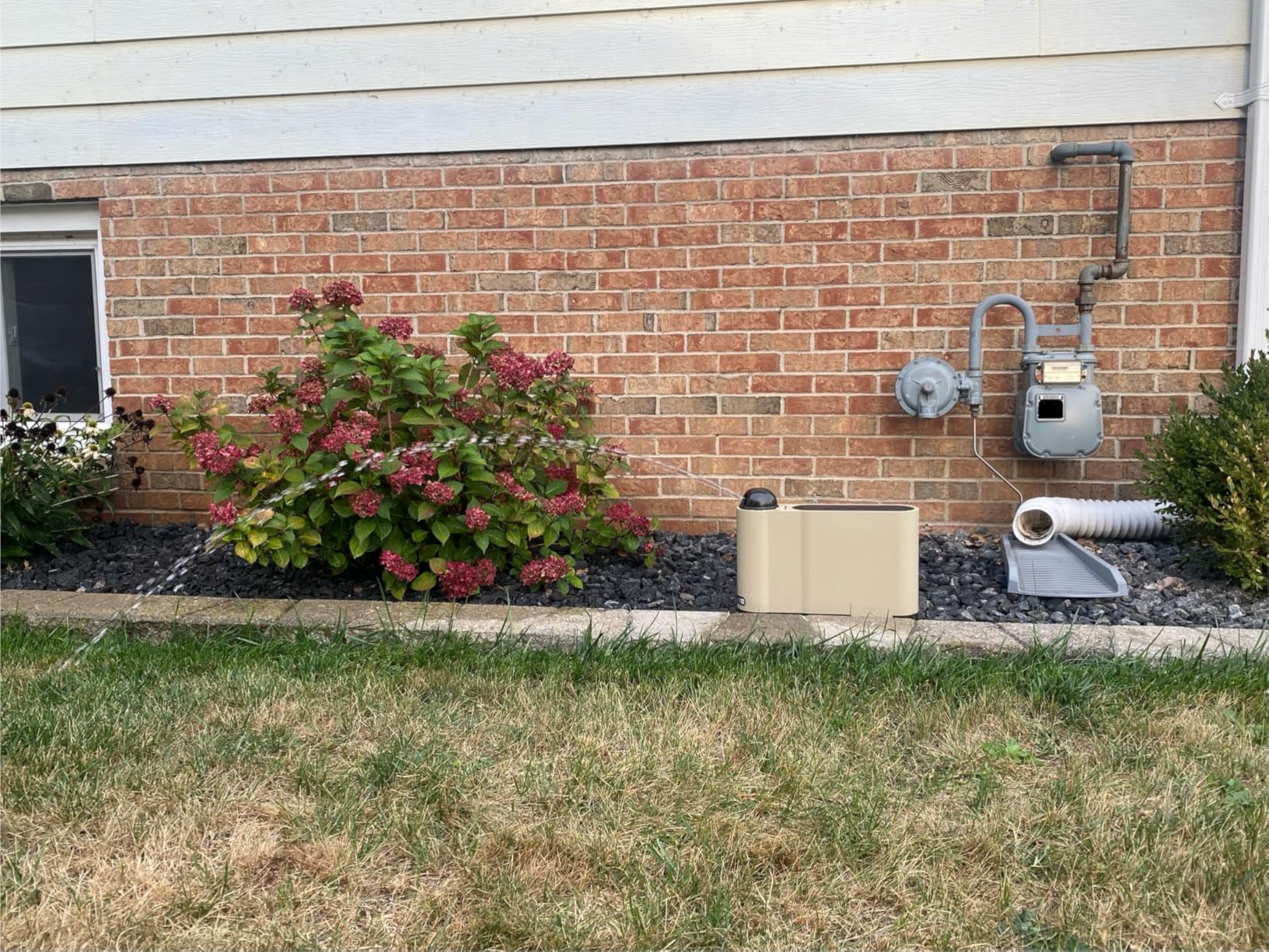 OtO Lawn Smart Sprinkler - App-Controlled Precision Watering, Solar-Powered, Weather Intelligence, Rain Skips, Quick Install, Covers 5,000 sq ft, Water-Saving Irrigation System customer photo 2