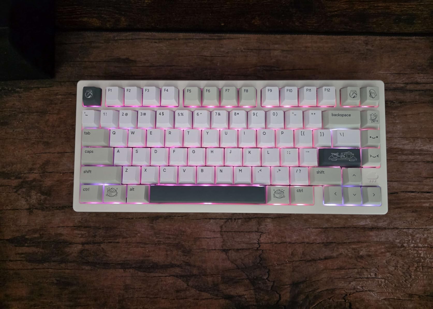 Akko V3 Penguin Tactile Silent Keyboard Switch for Mechanical Gaming Keyboard, 5-Pin 50gf Quiet Pre-Lubed Switches customer photo 1