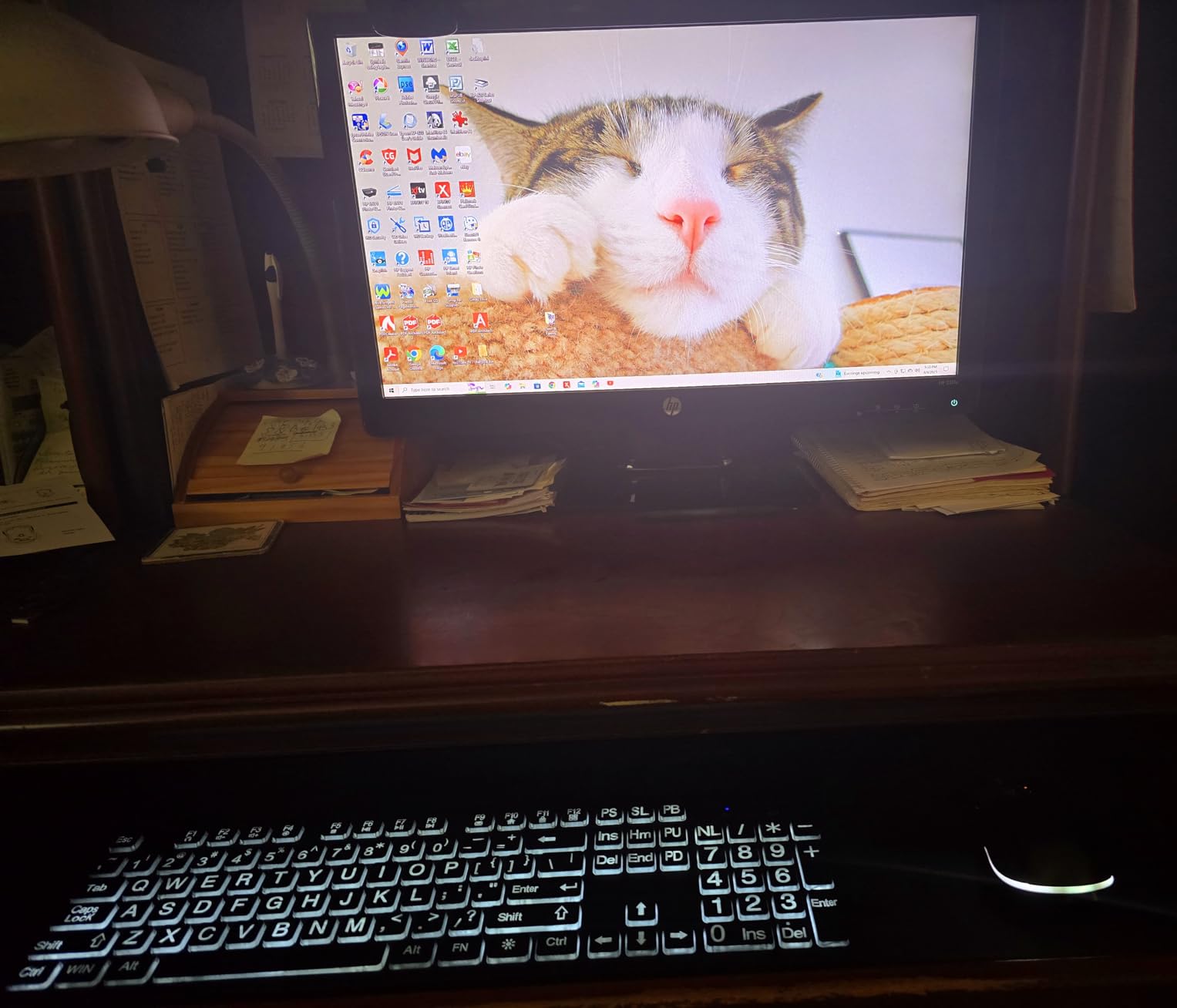 Wireless Keyboard and Mouse - Large Print Wireless Keyboard, KOPJIPPOM 2.4G Full Size Keyboard and Mouse Set with Big Letters and Backlight Key for Seniors, Compatible for Windows, Laptop, PC, Black customer photo 1