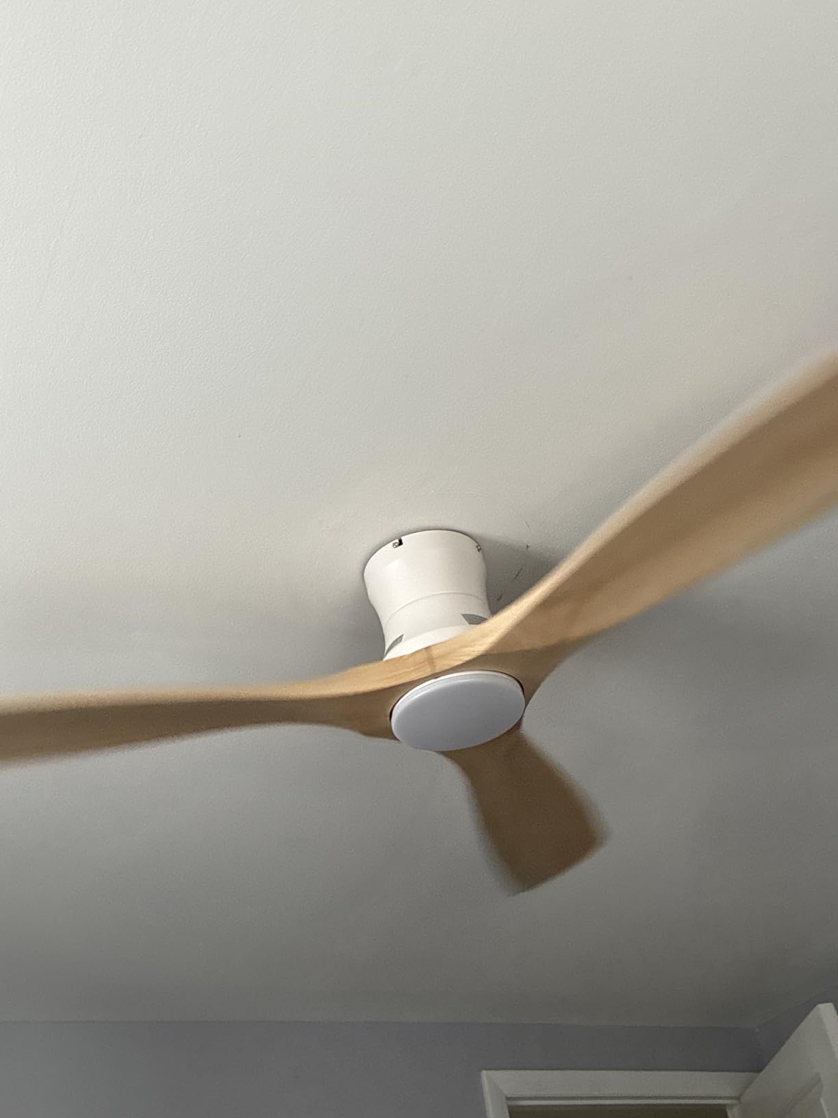 52in Smart Low Profile Ceiling Fans with Lights Remote, Quiet DC Motor, Outdoor Indoor Flush Mount, Control with WIFI Alexa App customer photo 1