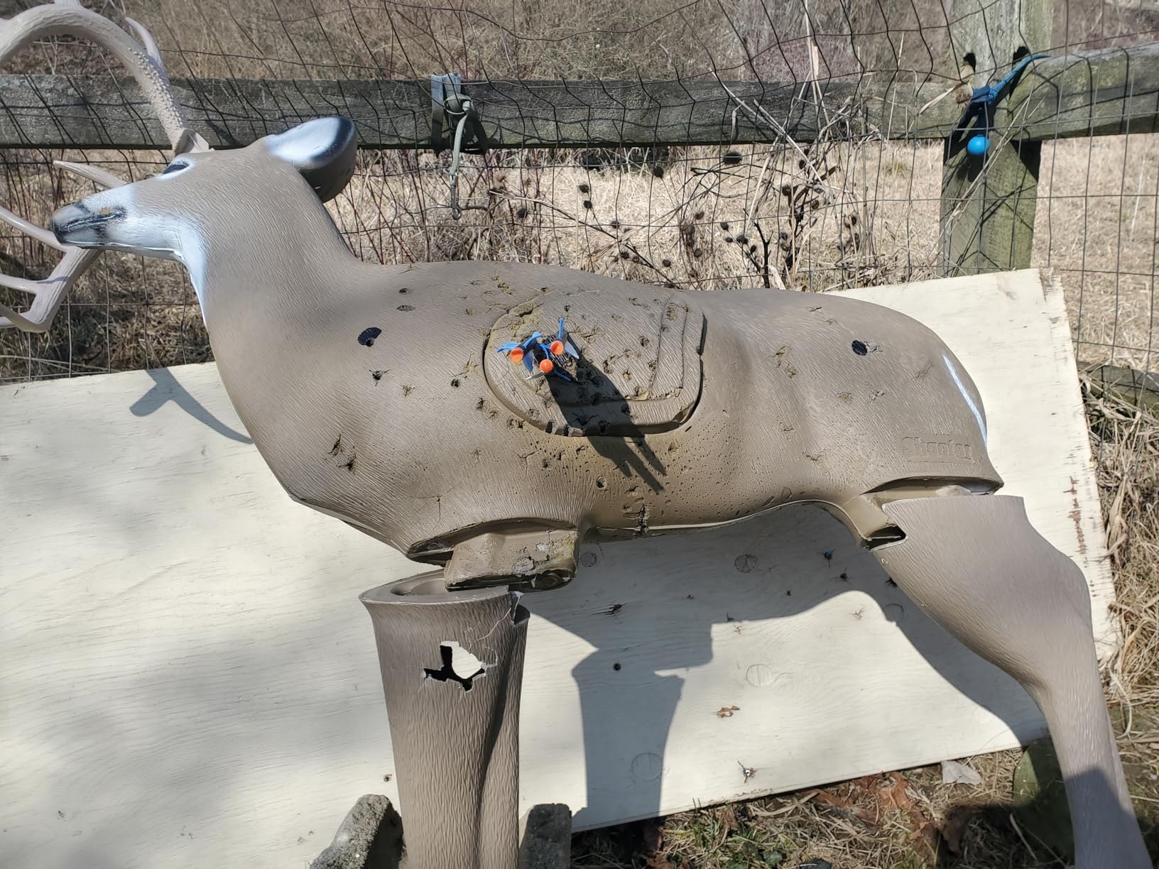 TenPoint Titan 400 Crossbow customer photo 1