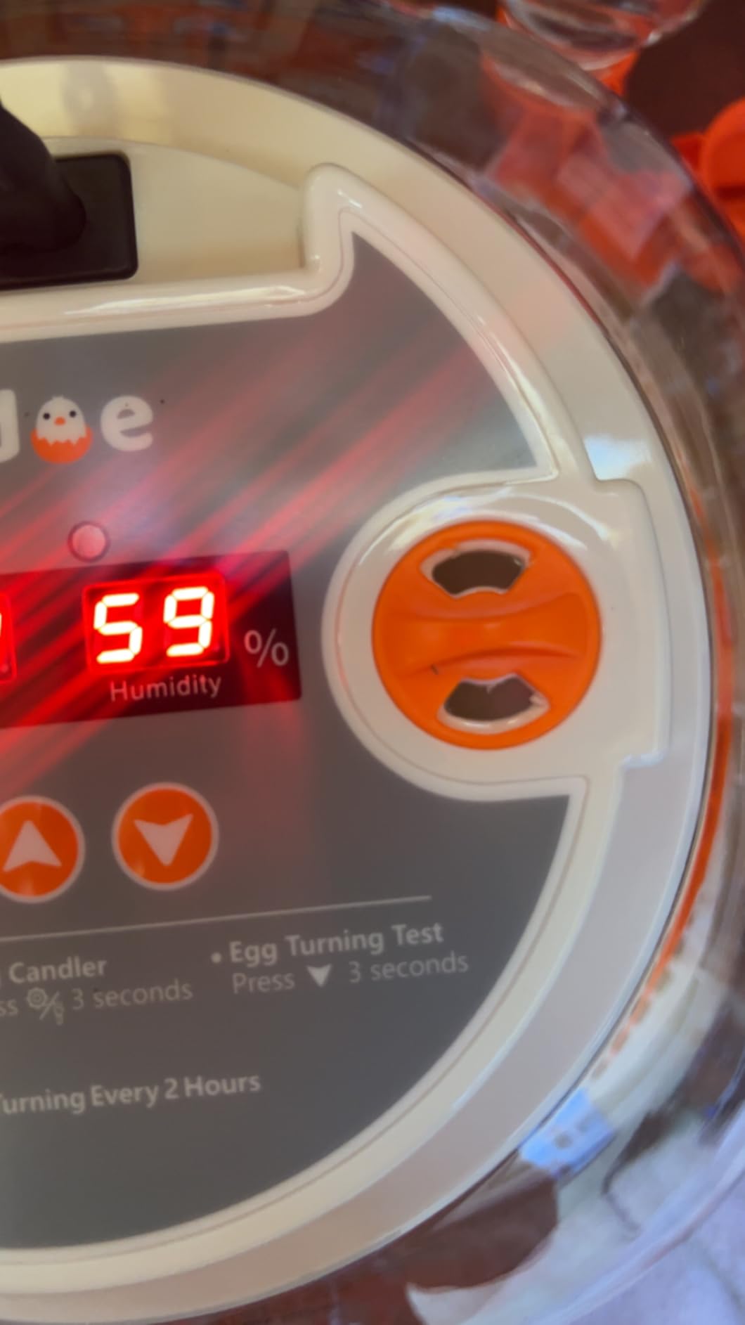 APDOE HatchPro 12 Egg Incubator with Temperature and Humidity Control, Automatic Egg Turning, Egg Candler, External Water Bottle, Adjustable Air Vent, 360 Degree Clear View customer photo 1