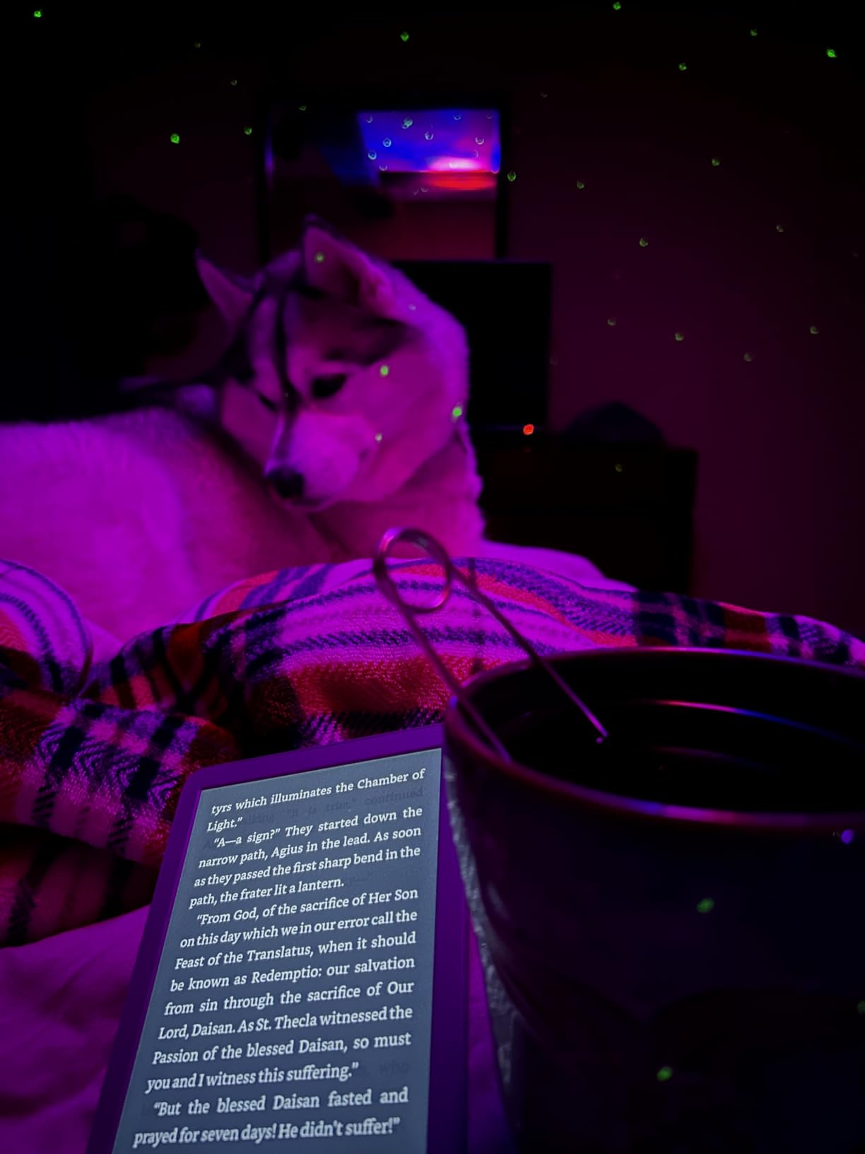 Amazon Kindle 16 GB (newest model) - Lightest and most compact Kindle, now with faster page turns, and higher contrast ratio, for an enhanced reading experience - Black customer photo 1