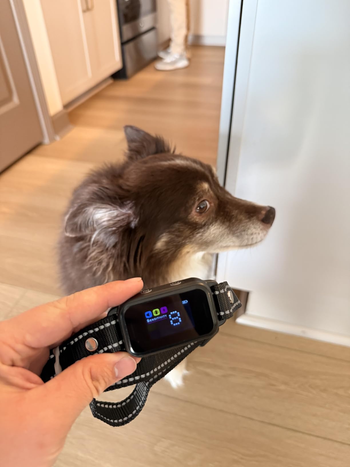 DINJOO Smart Bark Collar - Rechargeable Anti Barking Training Collar with 8 Adjustable Sensitivity, Beep & Shock (Dark Black) for Large, Medium & Small Dogs customer photo 1