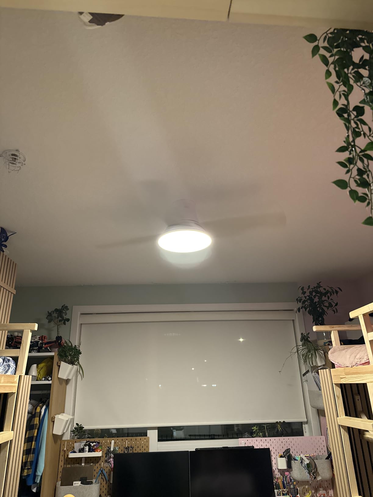 Dreo Ceiling Fans with Lights, 12 Speeds & 3 Fan Modes, Quiet DC Motor, Low Profile Easy to Install, Flush Mount Smart Ceiling Fan, 44'' customer photo 1