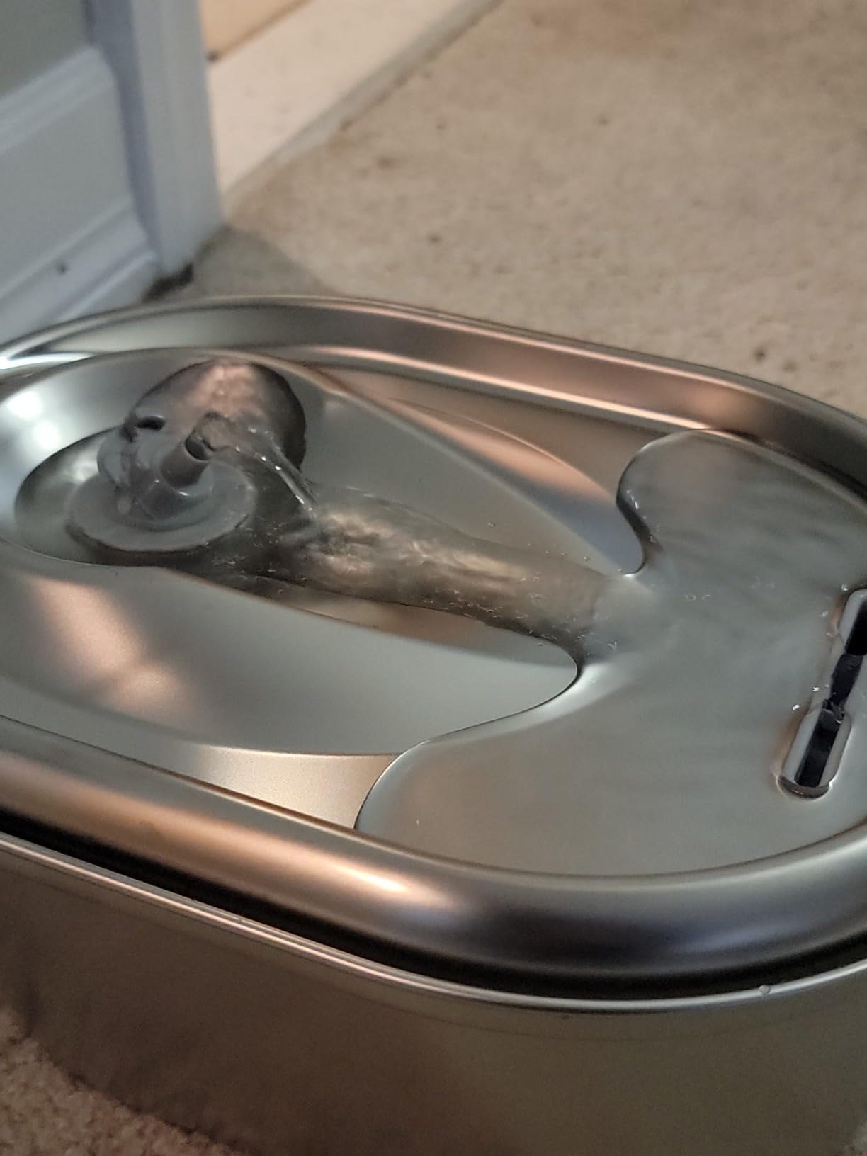 PETLIBRO Stainless Steel Cat Water Fountain, 101oz/3L Pet Water Fountain for Cats Inside, Food-Grade Dog Water Fountain, Automatic Cat Water Dispenser customer photo 1