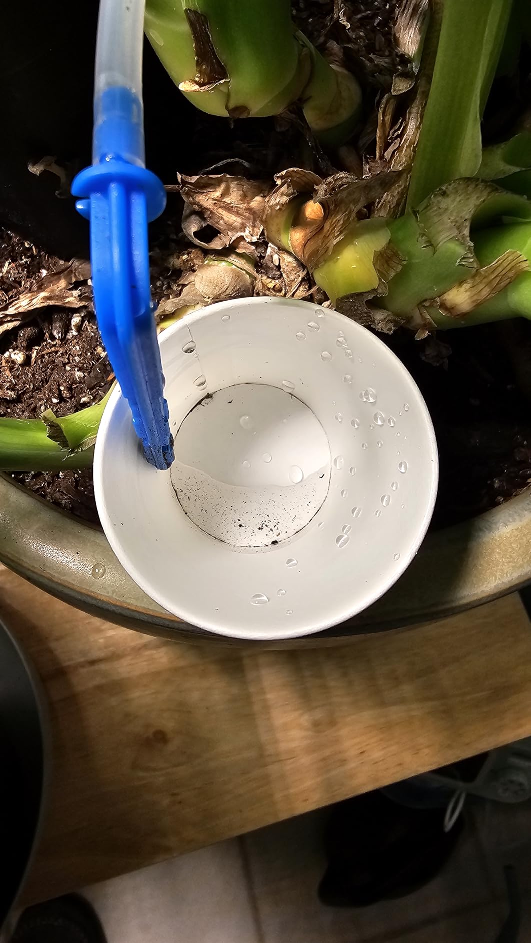 Automatic Plant Waterer Indoor Self Watering System for 15 Potted Plants, Auto Drip Irrigation Kit Programmable Water Timer with Smart Humidity Detection customer photo 2