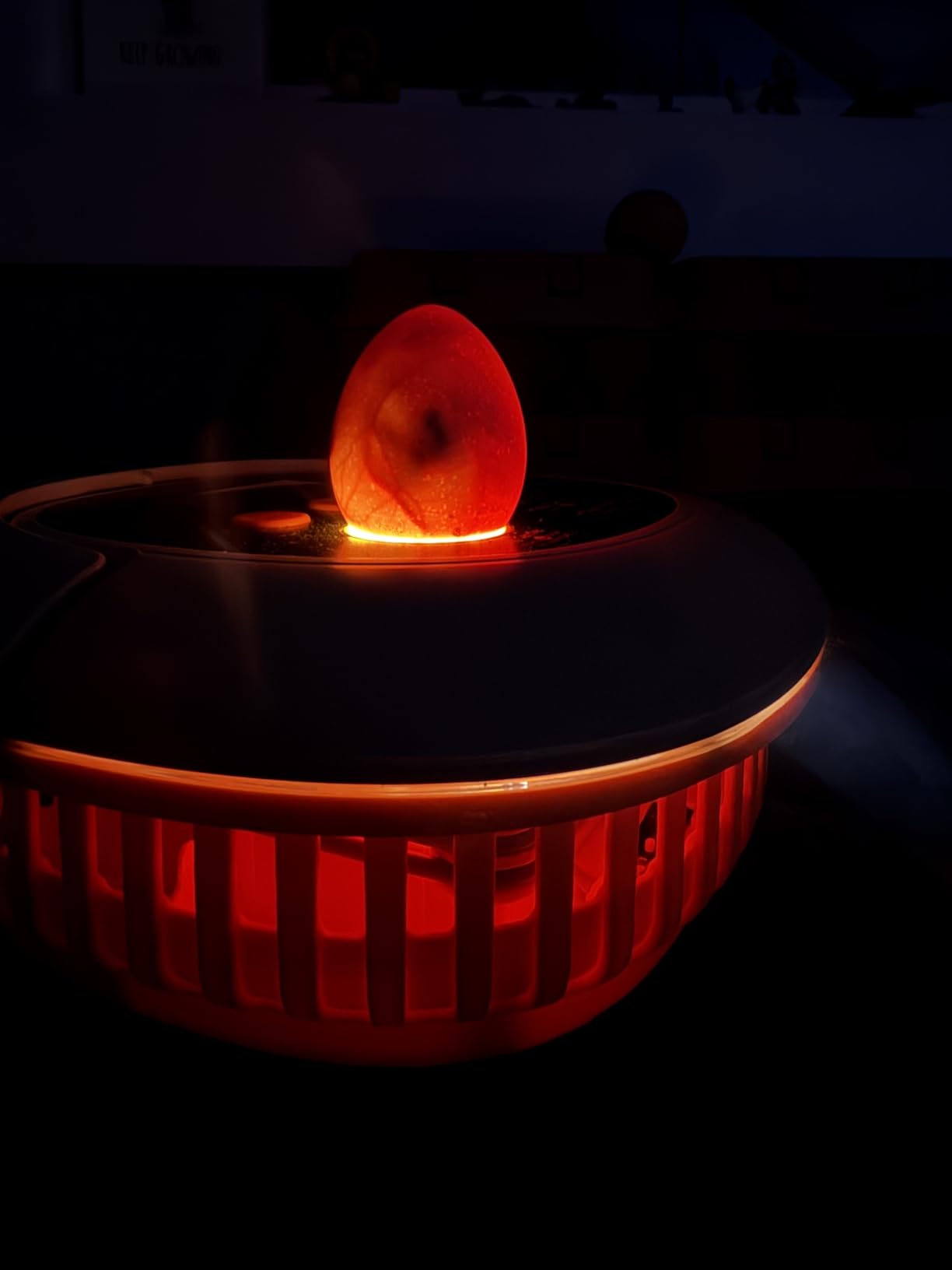 Chickcozy 25 Egg Incubator, Automatic Egg Turner with Thermometer Seat and Humidity Control, Egg Candler, 360 View with Clear Window, Incubators for Hatching Chicks (Sunlit Orange) customer photo 1