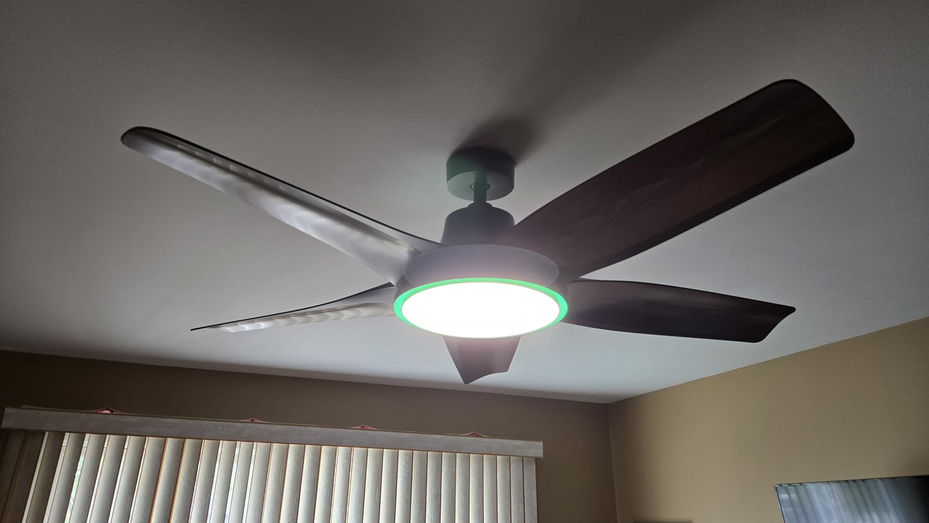 DREO Smart Ceiling Fans with Lights, Low Profile Ceiling Fan with Alexa/App, 52'' Dimmable Lighting & Color Tuning, RGB Ambient Light customer photo 2