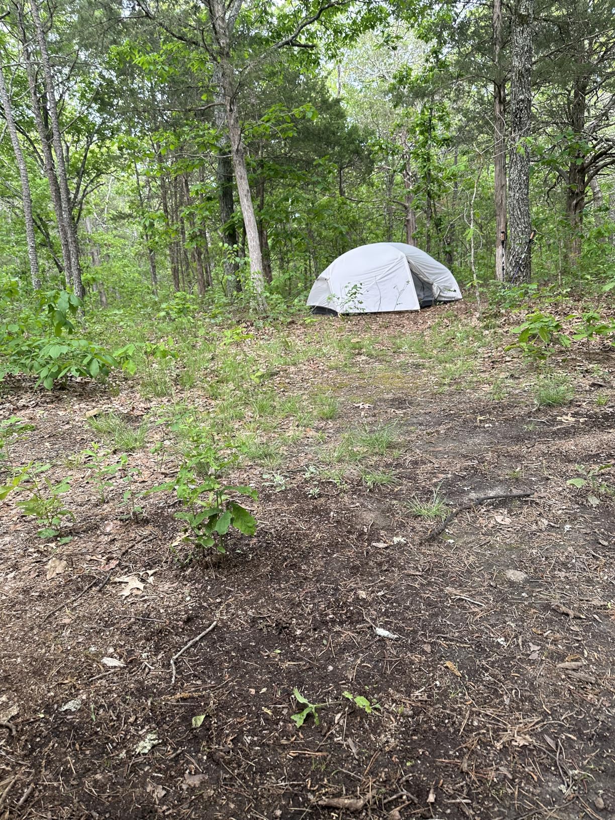Naturehike Mongar 2 Person Backpacking Tent, 3 Season Ultralight Lightweight 2 Person Tent, Double Layer Free Standing Tents for Camping Hiking Cycling customer photo 1