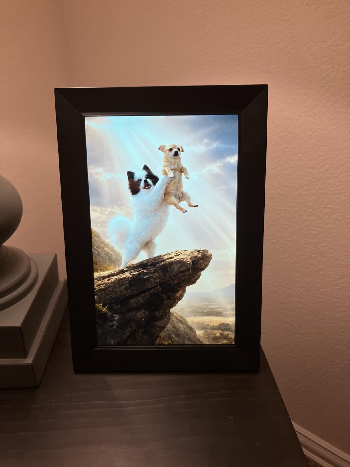 Frameo 10.1 Inch WiFi Digital Picture Frame, Smart Cloud Electronic Photo Frame with HD IPS Touch Screen Slideshow 32GB Memory Auto-Rotate Wall Mount customer photo 1
