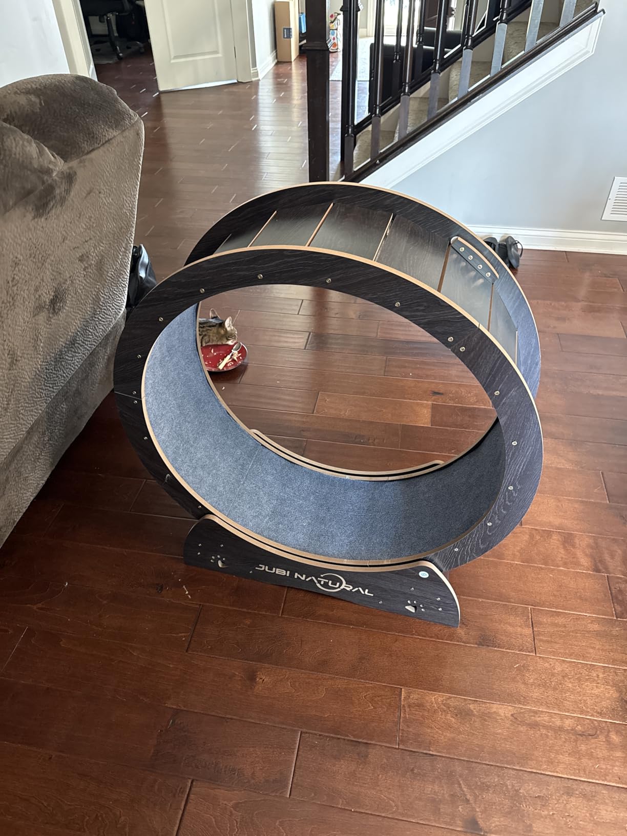 Cat Exercise Wheel, 35.9