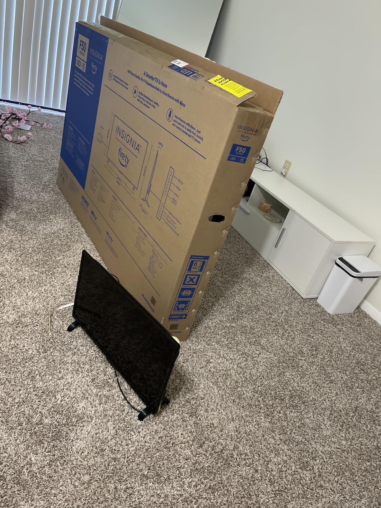 INSIGNIA 65-inch Class F50 Series LED 4K UHD Smart Fire TV with Alexa Voice Remote (NS-65F501NA24) customer photo 1