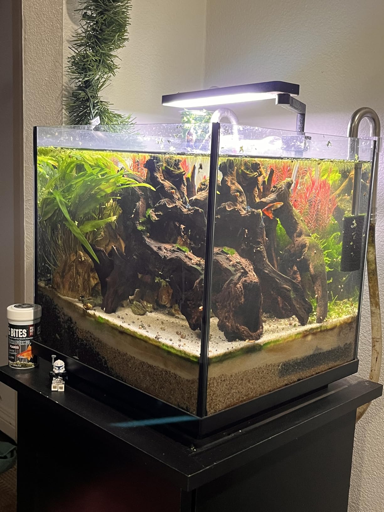 AMOSIJOY 265GPH Ultra-Quiet Canister Filter, 3-Stage External Aquarium Filter customer photo 2