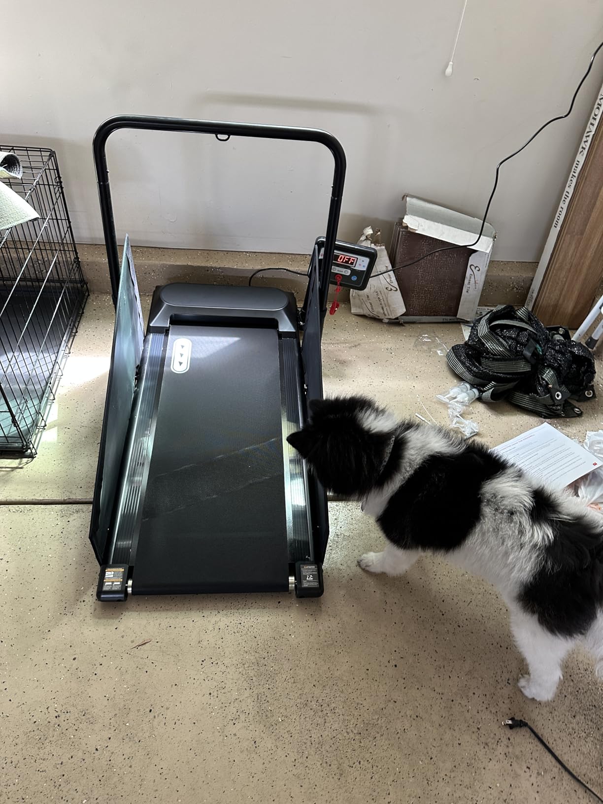 Petbobi Dog Treadmill for Small & Medium Dogs - Quiet Indoor Pet Exercise Machine with 360° Rotatable Display, Remote Control & Wheels, Heavy-Duty 265 lbs Capacity for Fitness & Weight Management customer photo 2