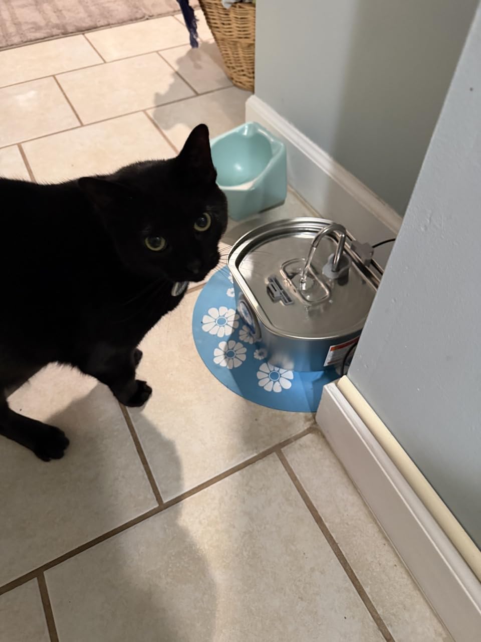 Cat Water Fountain Stainless Steel: 74oz/2.2L Cat Fountain for Drinking- Pet Water Fountain Inside - Automatic Dog Watering Dispenser Bowl - Pet Feeding & Watering Supplies (1 Filter) customer photo 2