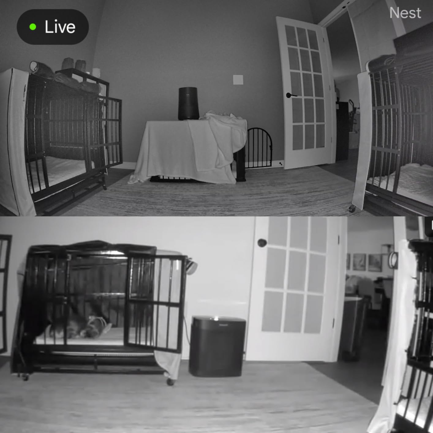 Google Nest Cam Indoor (Wired, 3rd Gen) - Security Camera with 2K Video and Gemini, Night Vision, 2-Way Audio, Works with Google Home - 2025 Model - Snow customer photo 2