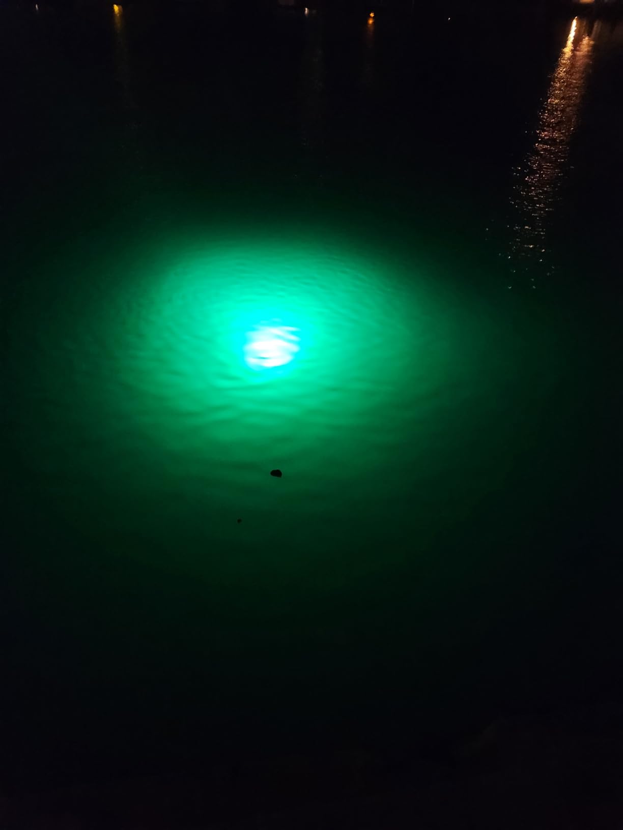 Underwater Fishing Light, 25W 2700LM Green Fishing Light, IP68 High Efficiency LED Fish Attractor Lamp, UL Certified customer photo 1