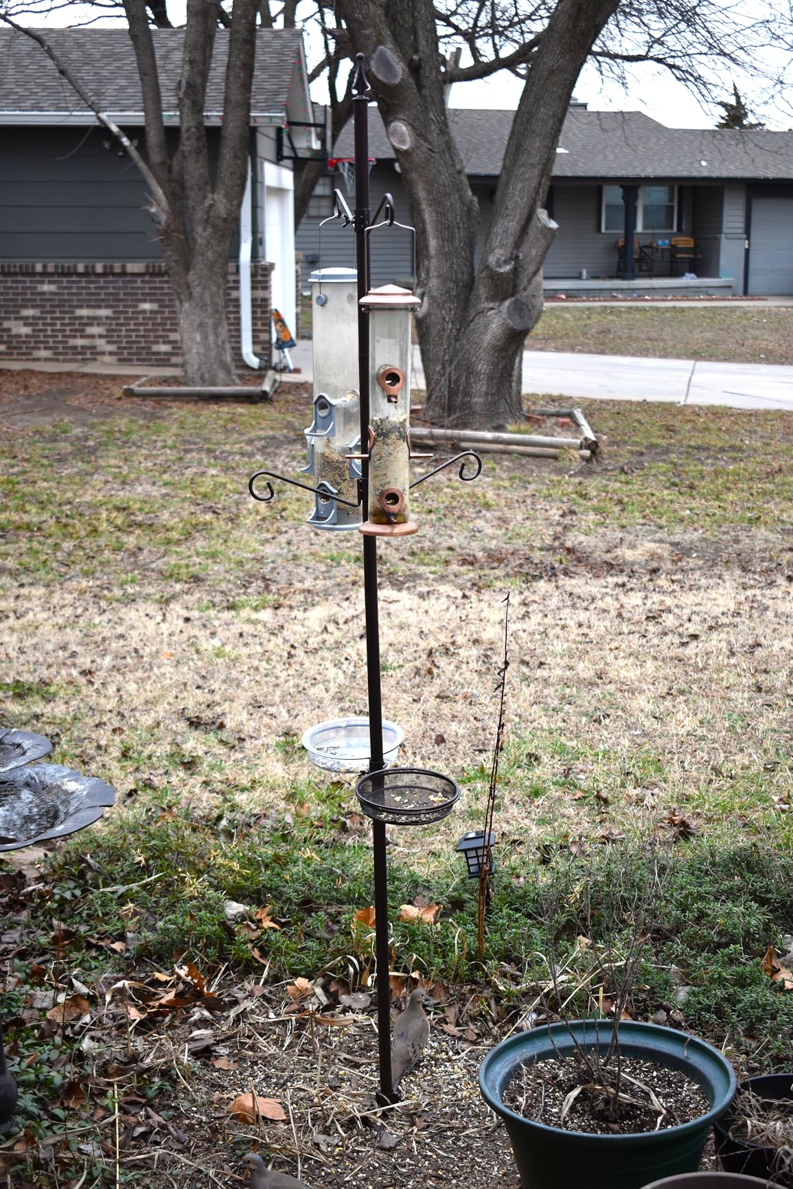 Bird Feeding Station Kit, 94 Inch Metal Birds Feeder Stand Pole with 6-Hook, Bird Bath and Mesh Tray, 5-Prong Base customer photo 1