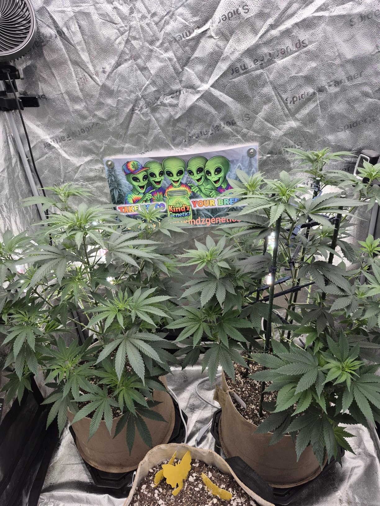 Spider Farmer 1FT LED Grow Lights for Indoor Plants, Light Strips for Shelves, Full Spectrum IP65 Waterproof Supplemental Light Bars for Grow Tent Indoor Greenhouse Plant Seedling Veg Flower, 4-Pack customer photo 1