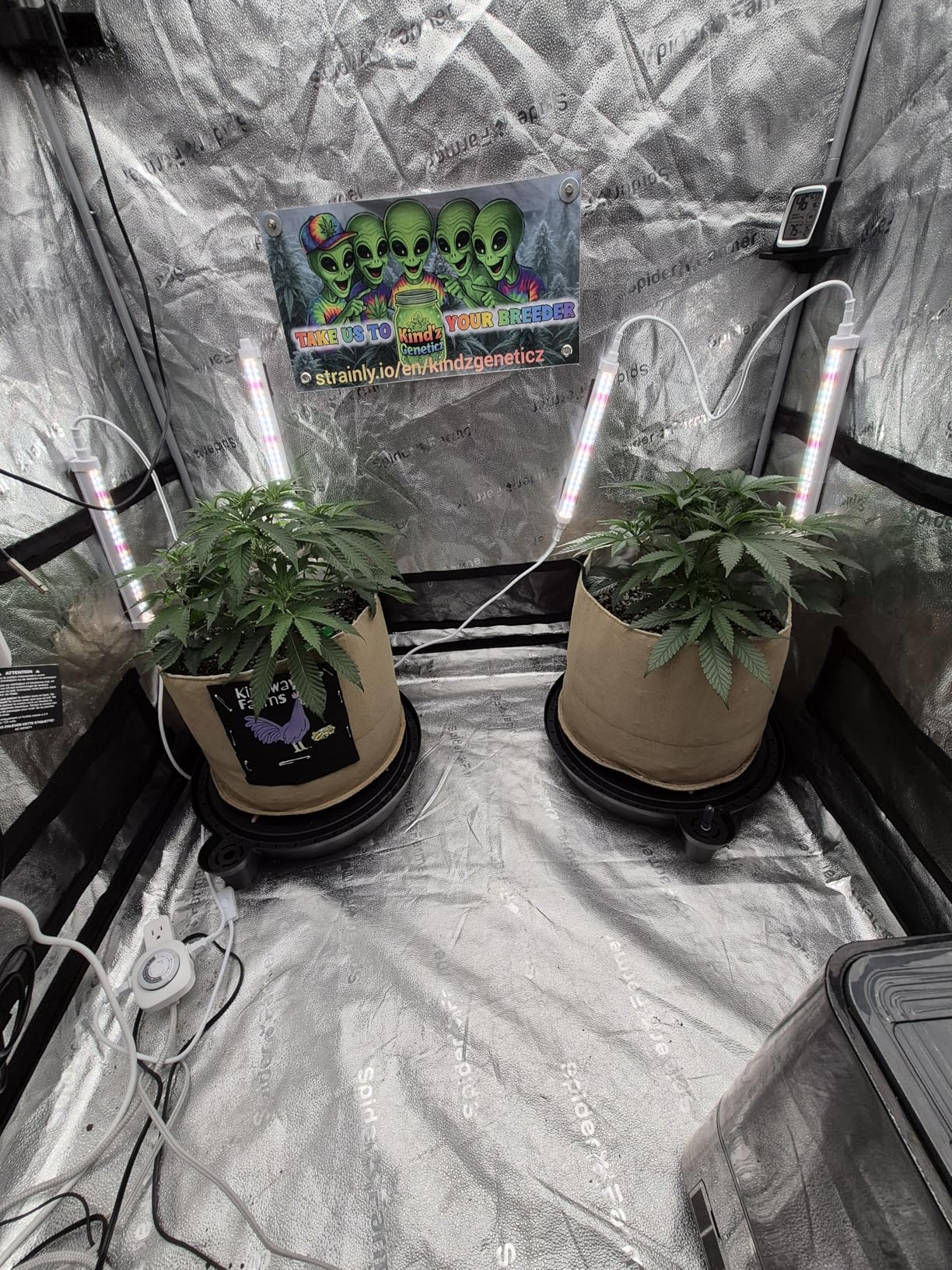 Spider Farmer 1FT LED Grow Lights for Indoor Plants, Light Strips for Shelves, Full Spectrum IP65 Waterproof Supplemental Light Bars for Grow Tent Indoor Greenhouse Plant Seedling Veg Flower, 4-Pack customer photo 2