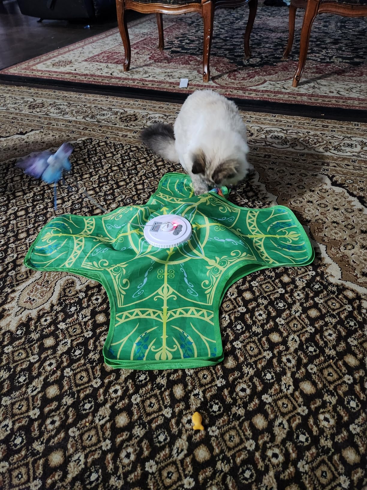 Interactive Cat Toys for Indoor Cats,[Newly Upgraded] Rechargeable Touch Activated Hide and Seek Kitten Toys for Bored Indoor Adult Cats with Fluttering (Blue) customer photo 1