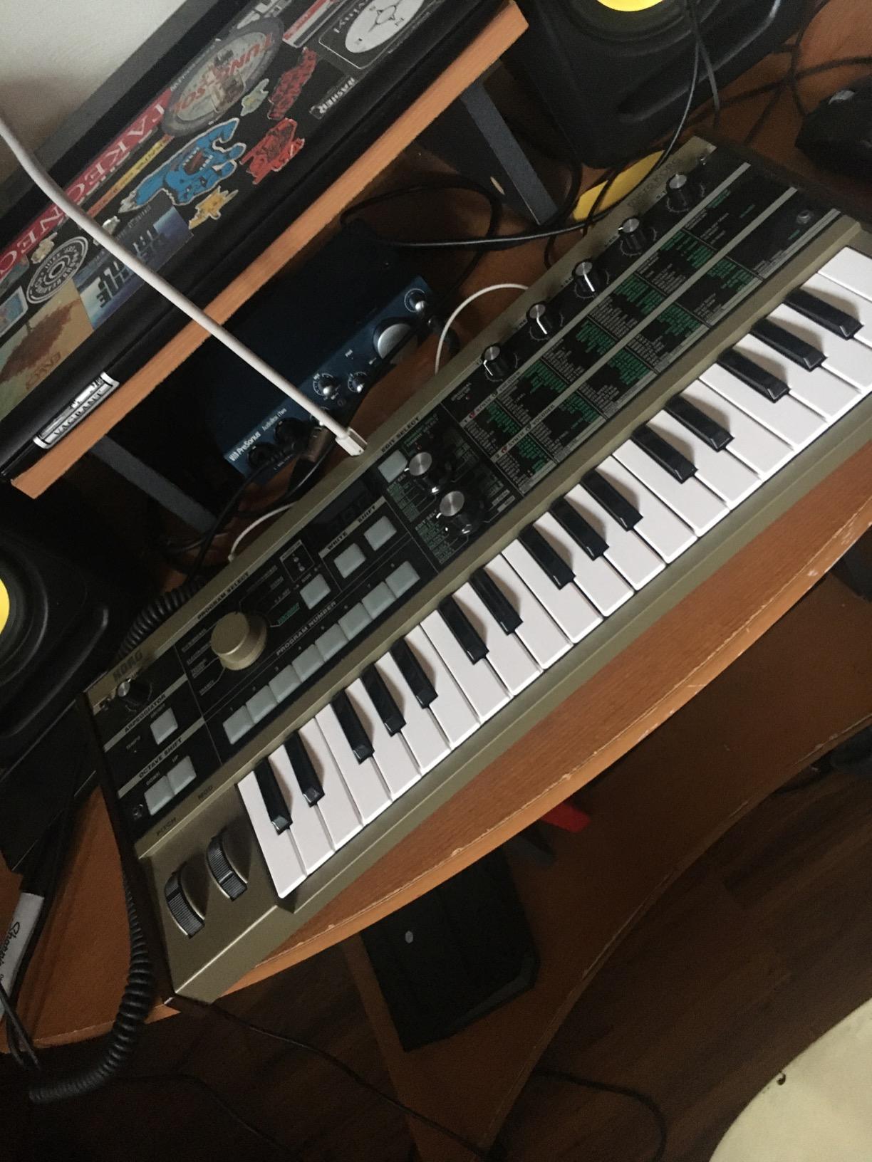 Korg microKORG Compact Analog Modeling Synthesizer with Vocoder customer photo 1