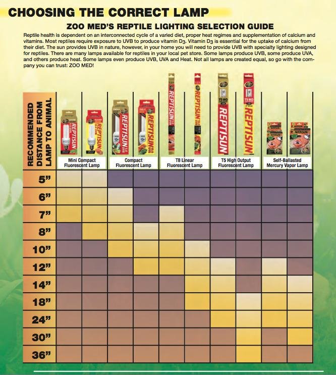 Zoo Med PowerSun UV Bulb 160 Watt customer photo 3