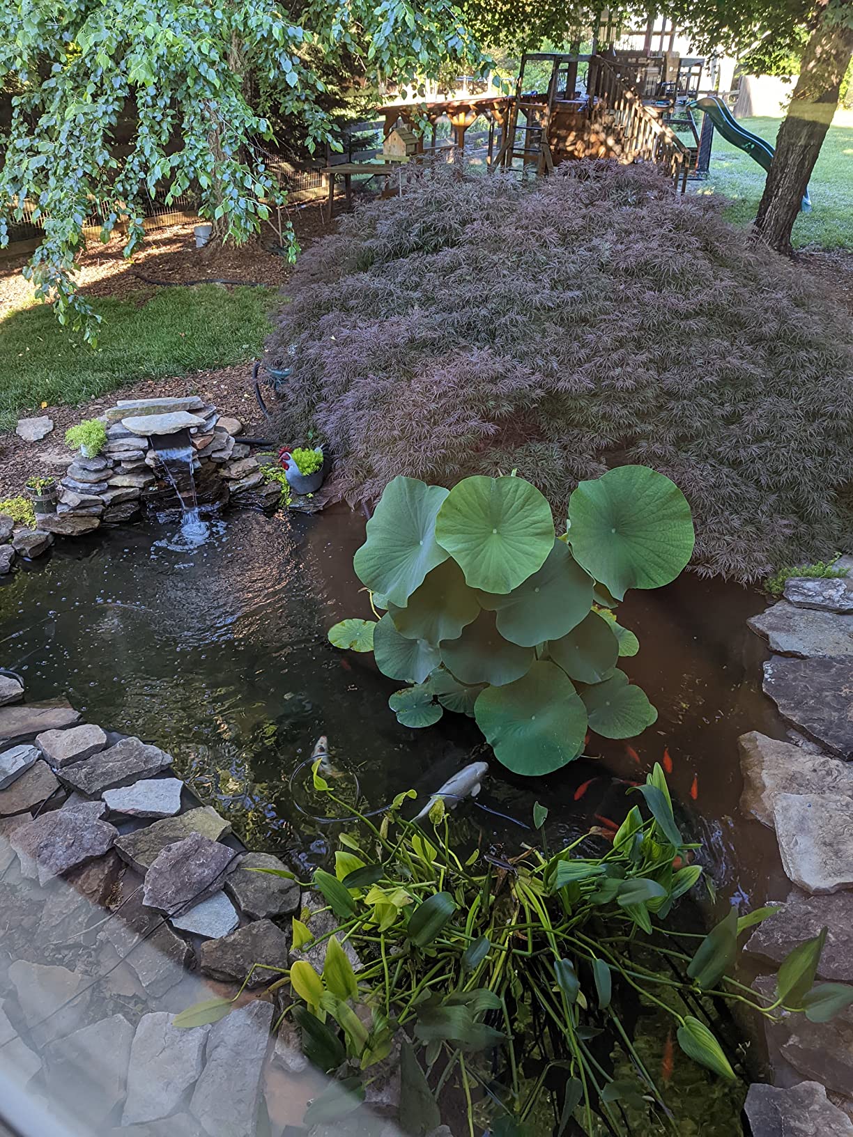 TetraPond Bio-Active Pressure Filter, For Ponds Up to 2500 Gallons customer photo 1