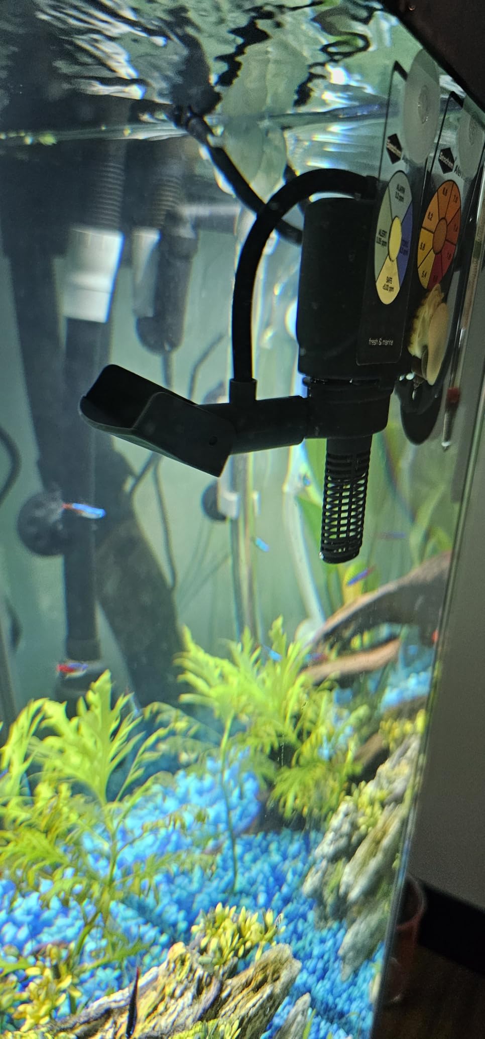 Marineland Maxi-Jet 600, Multi-Use Water Pump And Power Head, Fully Convertible (ML90510), 160/750 GPH customer photo 1