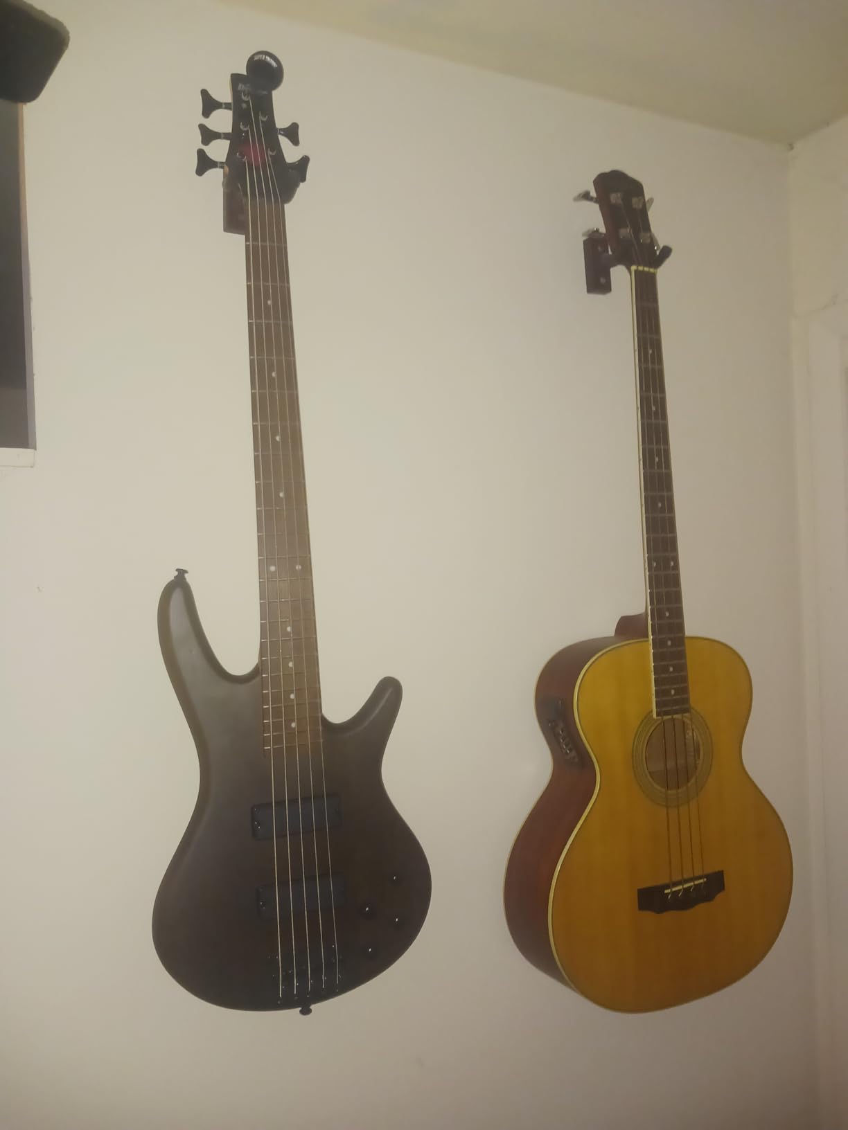 Ibanez GSR205SMNGT GIO 5-String Bass Guitar - Spalted Maple Top Natural Grey Burst customer photo 1