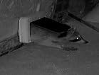 Cat Mate Microchip Activated Cat Flap (360) - ISO and AVID Compatible, Door for Entry Control of up to 30 Cats or Small Dogs customer photo 2